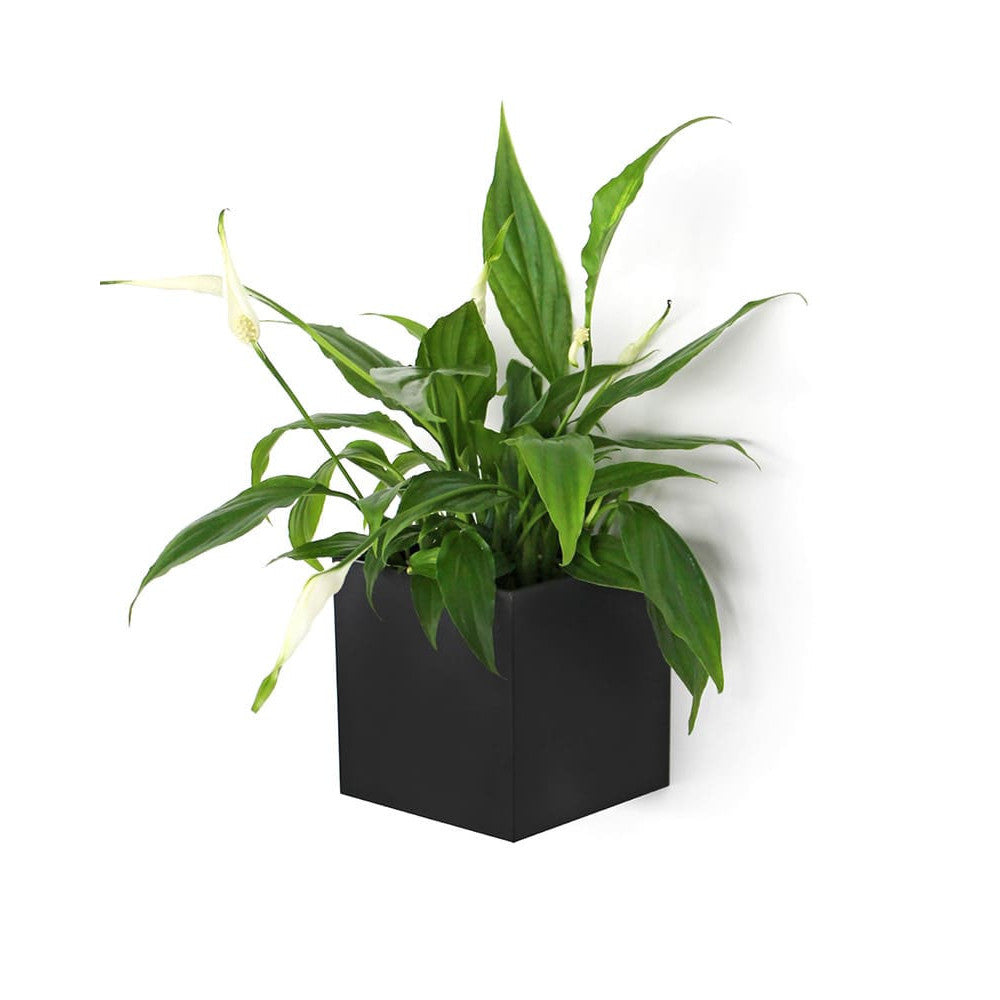 KalaMitica® Magnetwürfel "Kosmos", 9,5cm, Schwarz