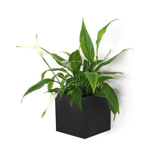 KalaMitica® Magnetwürfel "Kosmos", 9,5cm, Schwarz