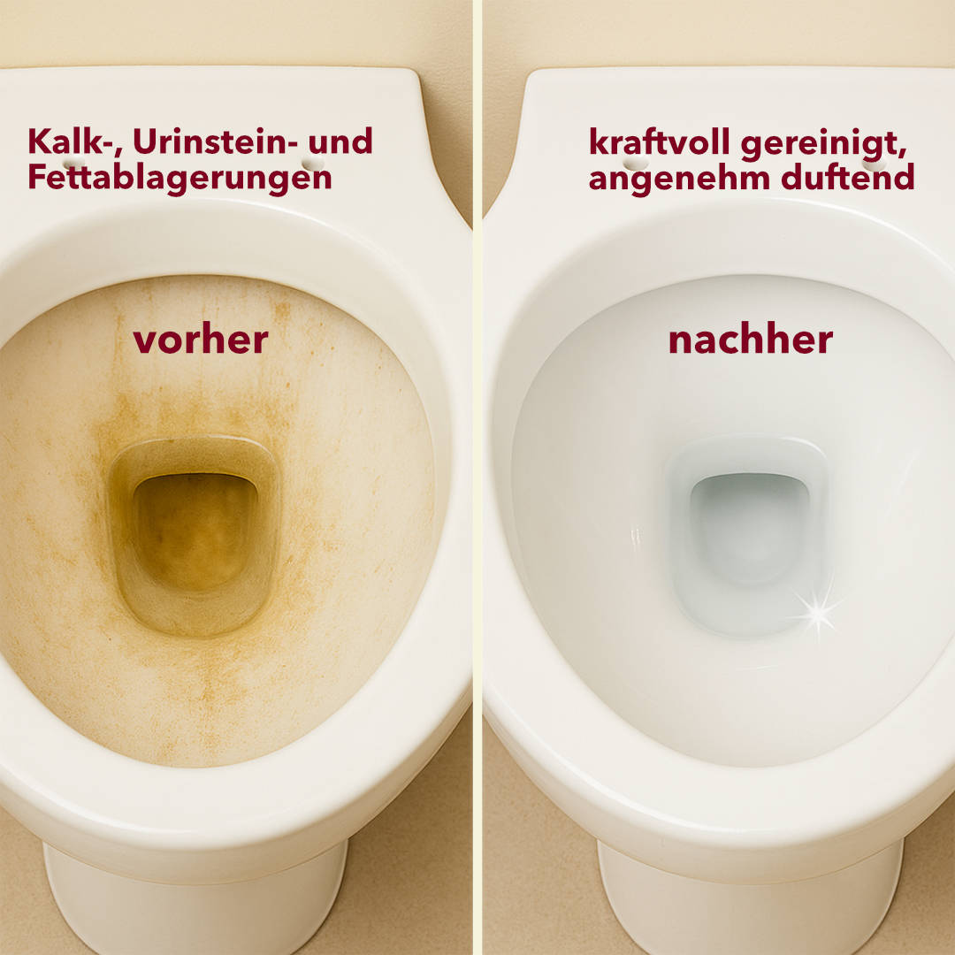 WC-Reiniger, dickflüssig, 750 ml Flasche, pH-Wert <2