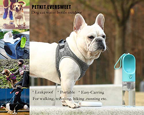 PETKIT P008 EVERSWEET Hundetrinkflasche für Hund, unterwegs, Leckdichte Outdoor Trinkflasche - 400ml