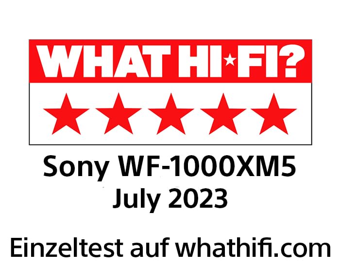 Sony WF-1000XM5 Kabellose Noise Cancelling Kopfhörer, Bluetooth, In-Ear-Kopfhörer, Mikrofon, bis zu 24 Stunden Akkulaufzeit, Schnellladefunktion, IPX4, iOS & Android kompatibel - Silber