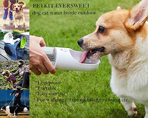 PETKIT EVERSWEET Tragbare Trinkflasche für Hund, Haustiere,BPA frei, Wasserschüssel-400ml