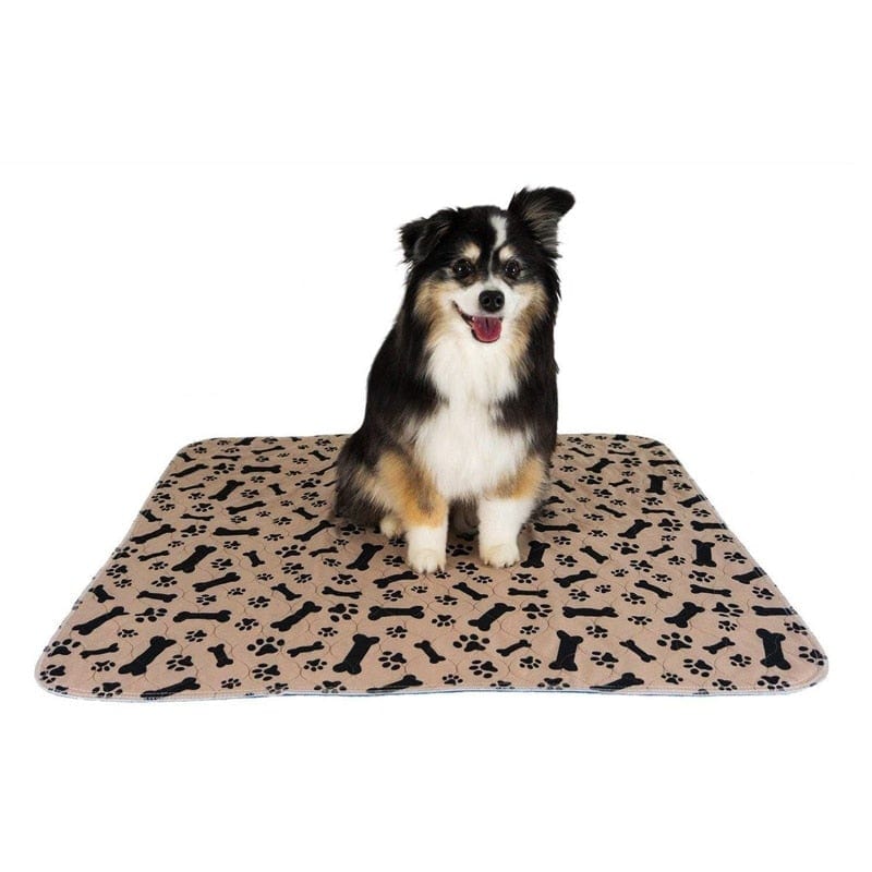 Dropshipping Waterproof Reusable Dog Bed Mats Dog Urine Pad Puppy Pee Fast Absorbing Pad Rug for Pet Sleep Soft Carpet Blanket - WERBE-WELT.SHOP